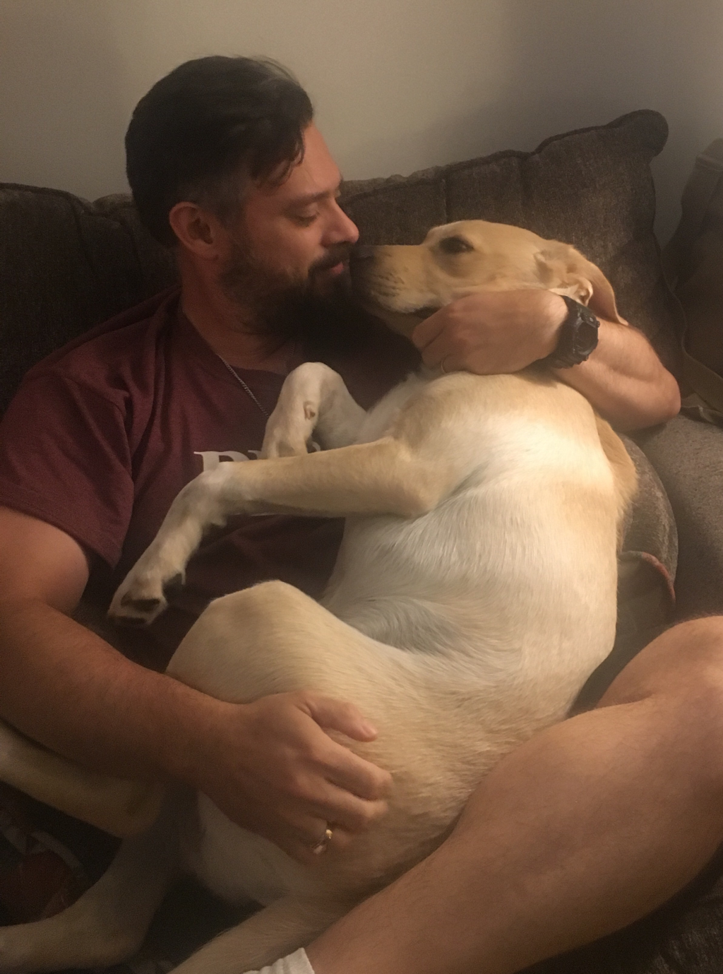 Life lessons from my Labrador Retriever 